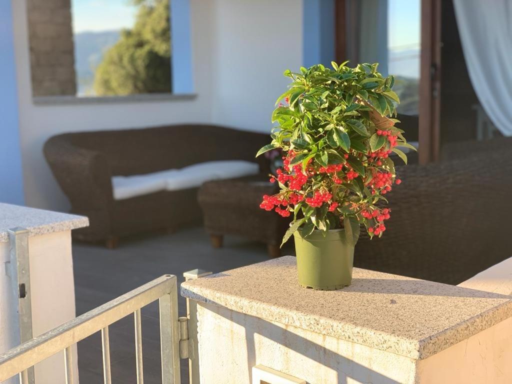 La Maison De La Mer Posada  Bagian luar foto
